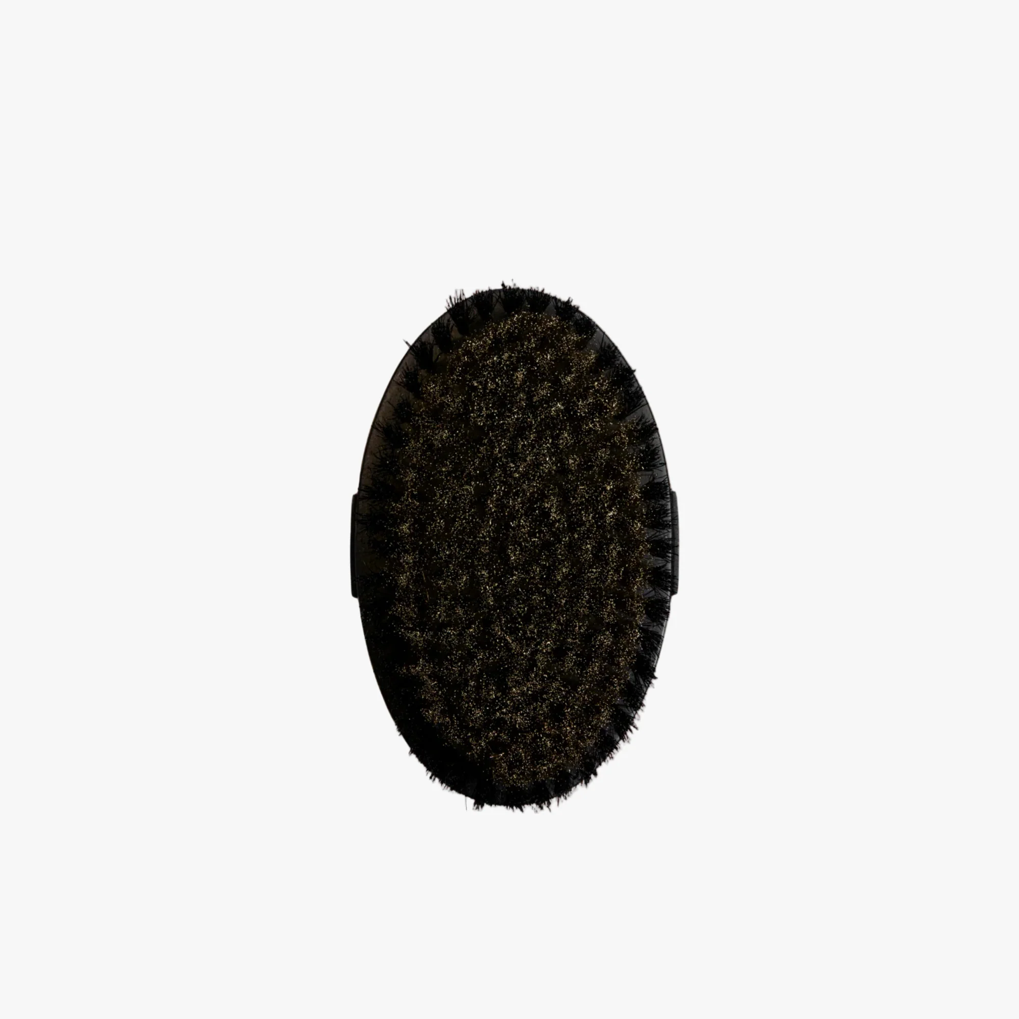 Ionic Dry Body Brush