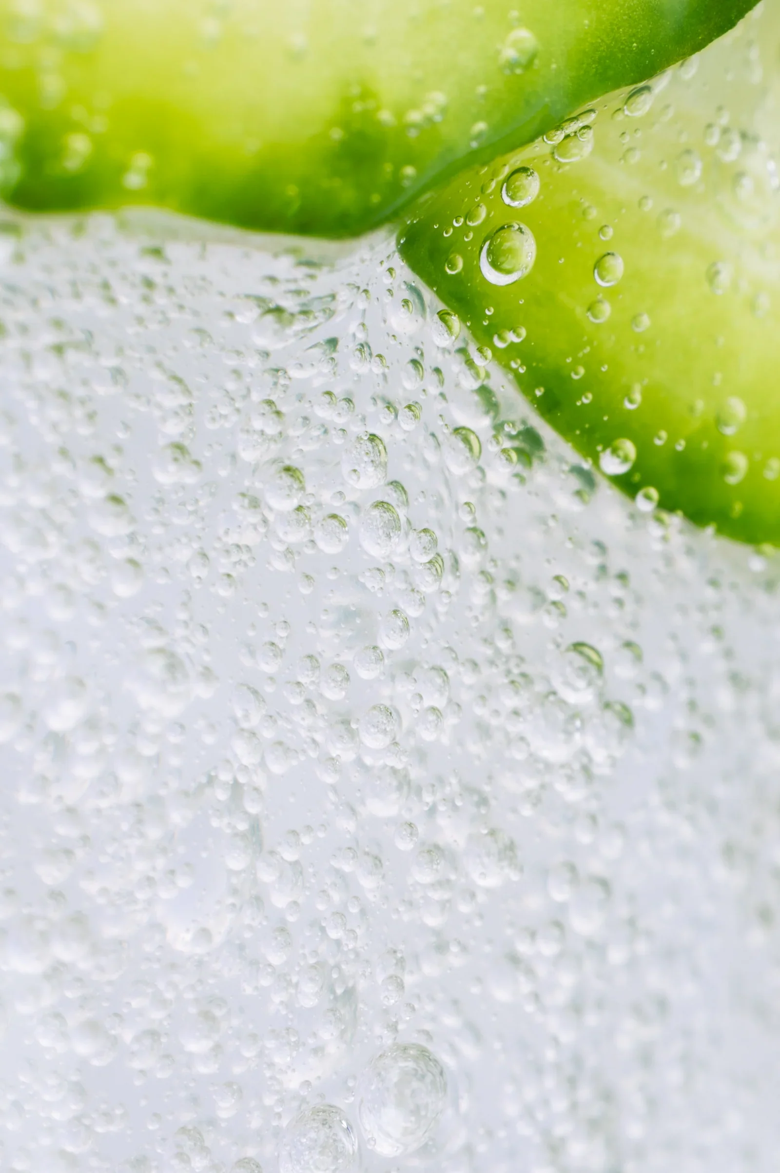 The Gel - Exfoliating Foaming Gel Cleanser - Image 2